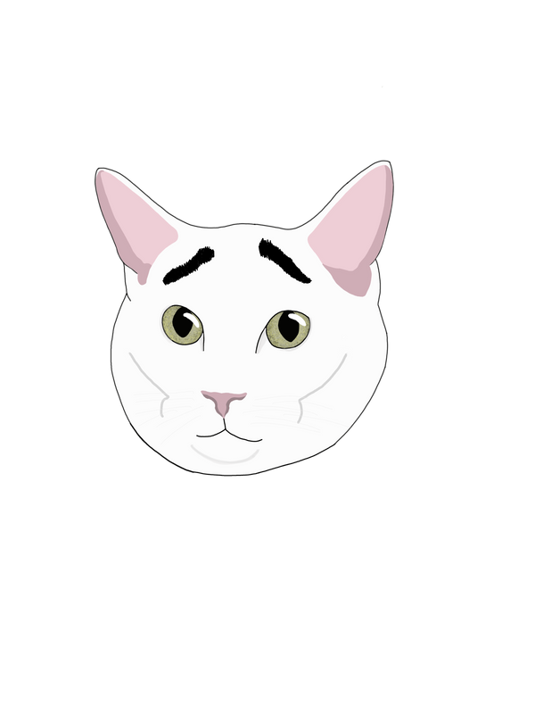 My Cat With Eyebrows