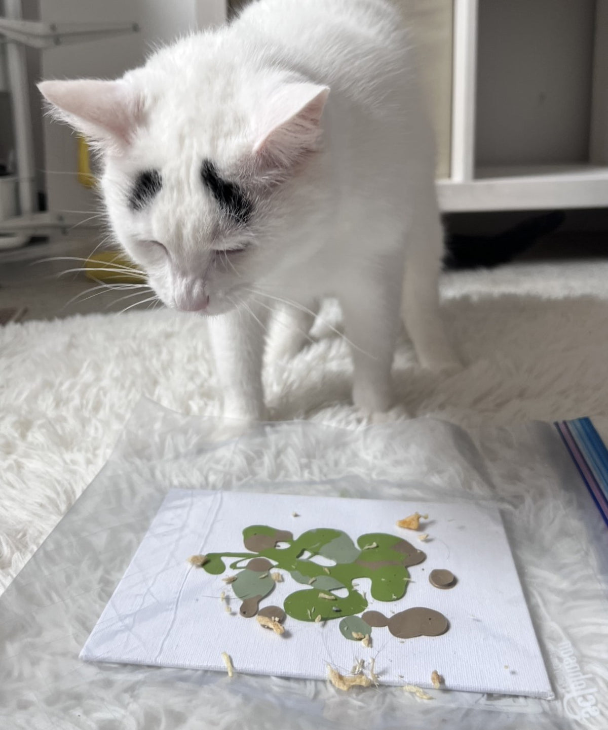 Custom Paintings by Hénri